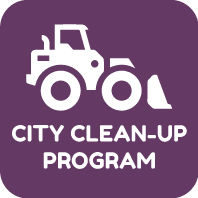 City Cleanup