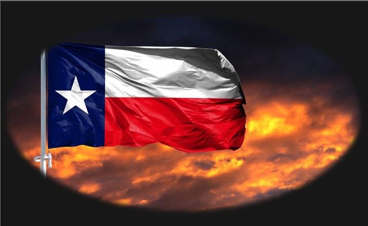TX FLAG